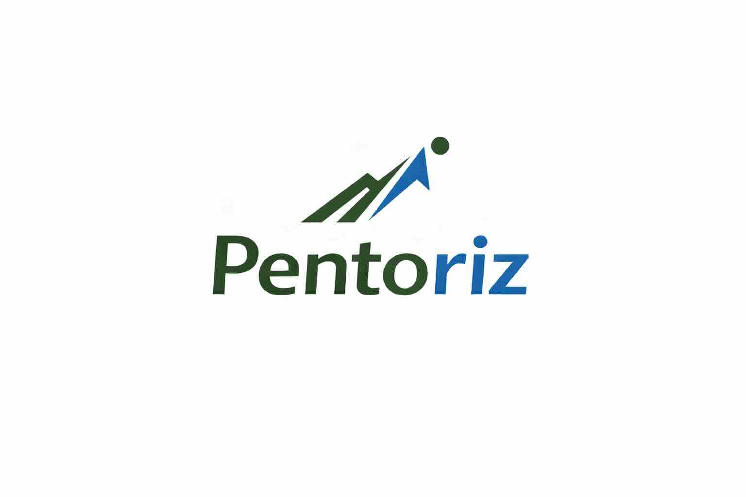 Pentoriz Logo